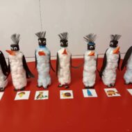 Więcej o: Dzień Wiedzy o Pingwinach
