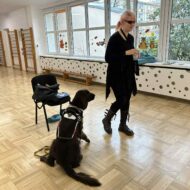 Więcej o: Wizyta psa przewodnika w przedszkolu