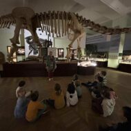Więcej o: Wizyta w Muzeum Ewolucji