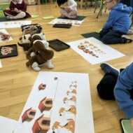 Więcej o: Co wiemy o psach?