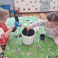 Więcej o: Niebieskie Sówki zakładają ogródek